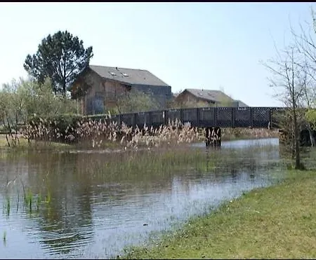 250 Waterfront With Garden Daire *
